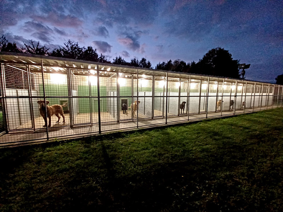 Boundary Kennels Framsden