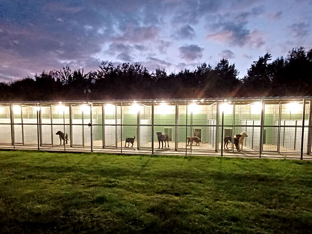 dog kennel