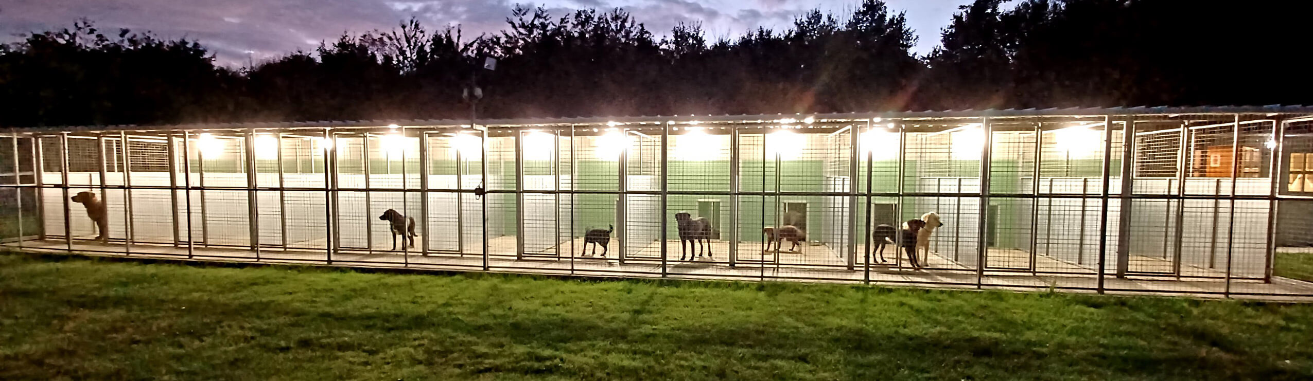 Boundary Kennels Suffolk
