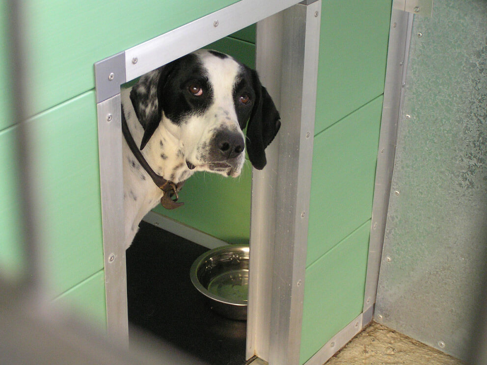 dog kennels