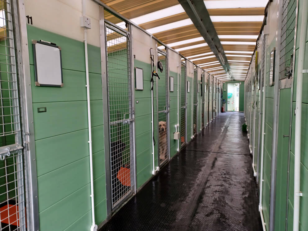 dog kennel