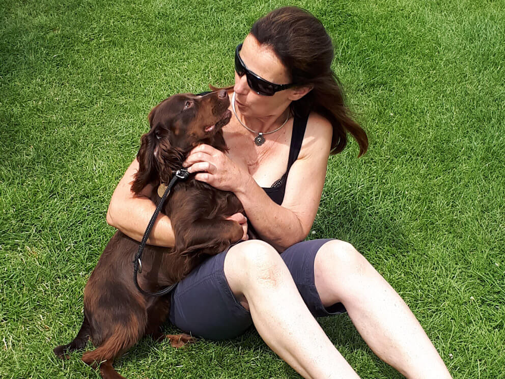 Boundary Kennels