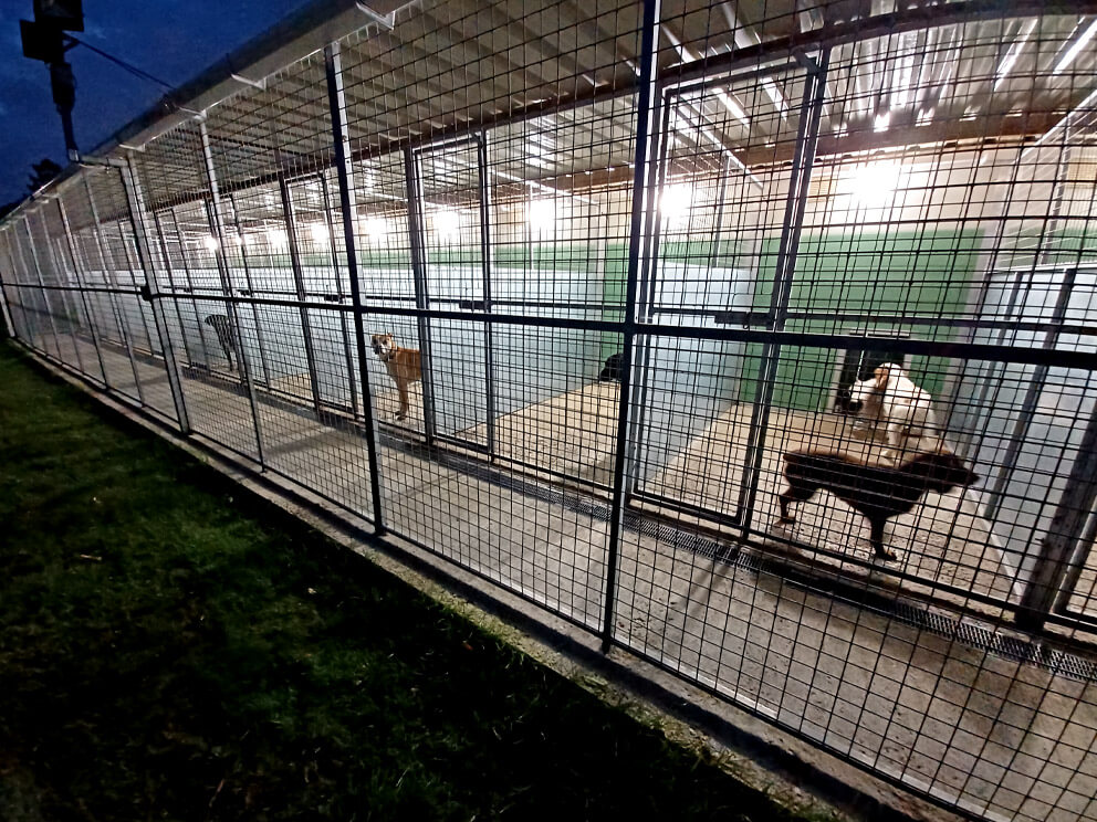kennels Suffolk