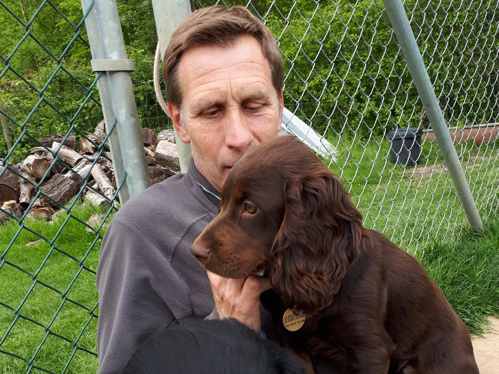 dog kennels Suffolk